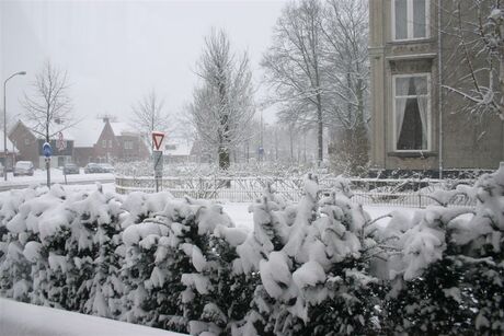 20050302 Finale sneeuw0011