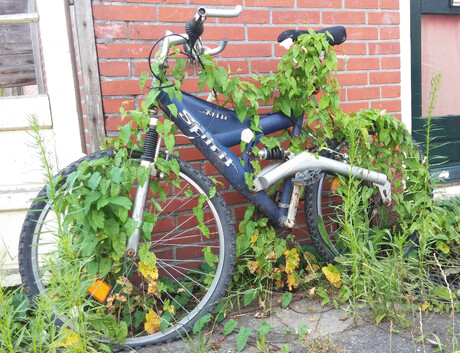 sportfiets2