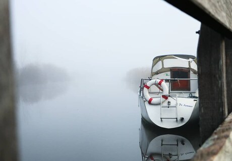 Ochtend mist