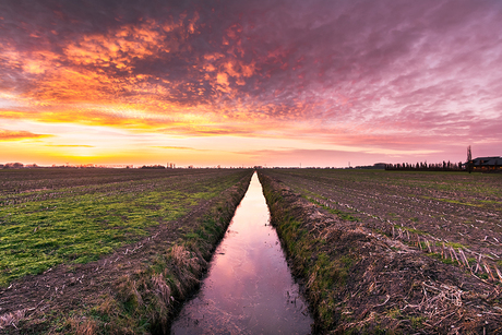 Zonsondergang in de Arkelse polder