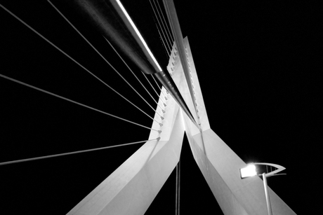 Rotterdam in black and white 1