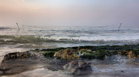 strand Domburg