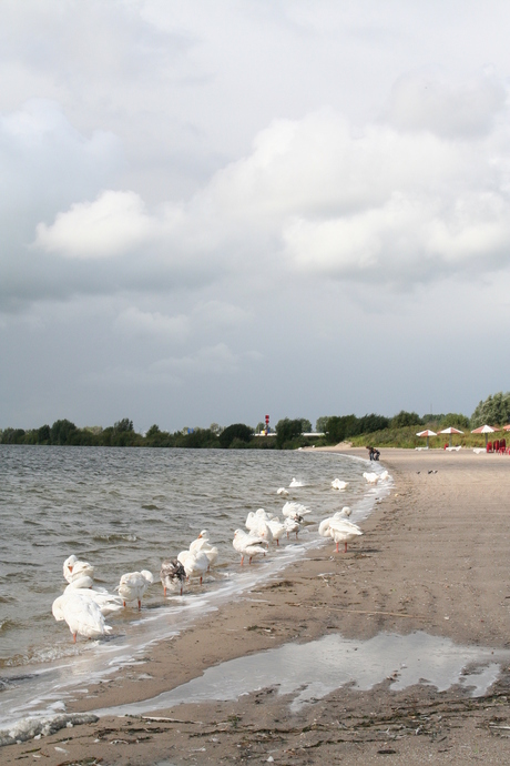 IJsselmeer met slecht weer