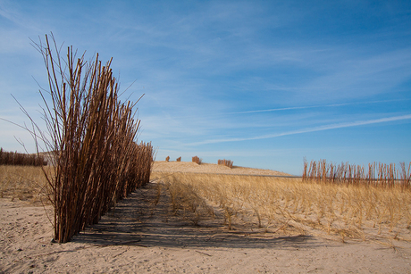 Maasvlakte