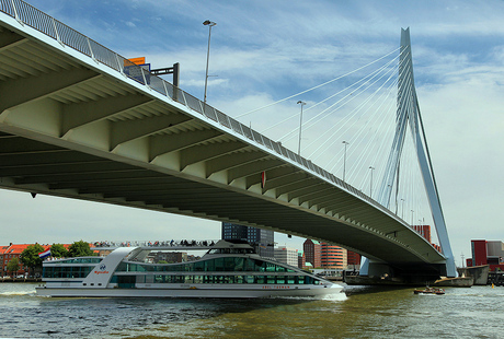 Erasmusbrug & Spido