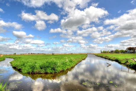 Hollands Landschap