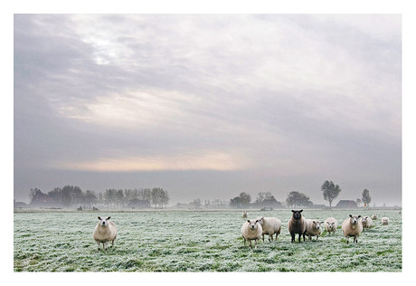 oktober in friesland