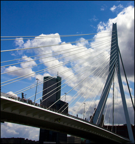 erasmusbrug