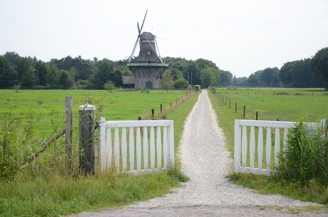 Molen de Star