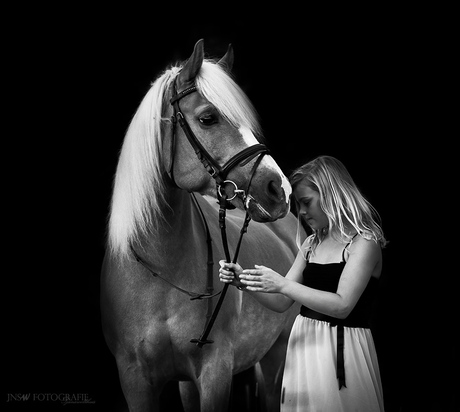 Whoever said diamonds are a girls best friend, has never owned a horse.