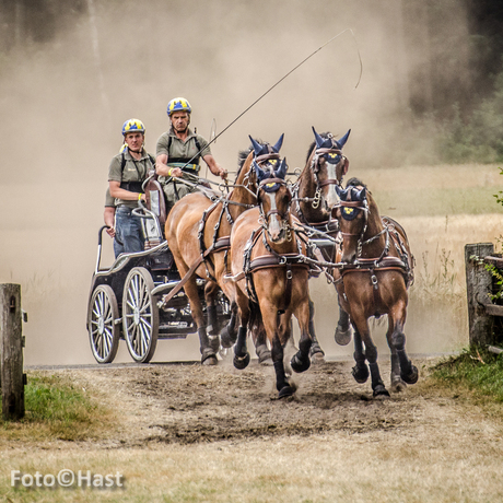 Paardenmarathon