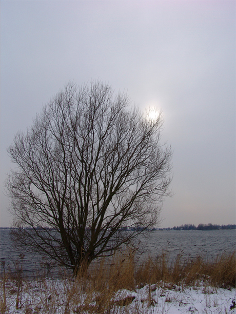 Winterzon (4)