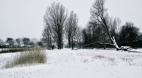 Winter Almere-Haven