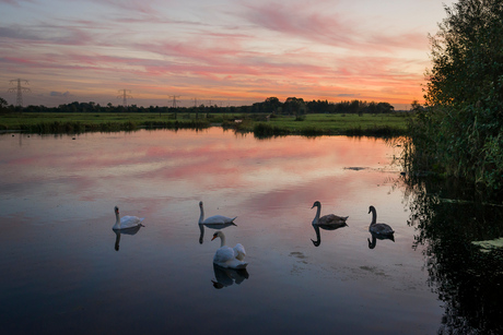 Avonduurtjes