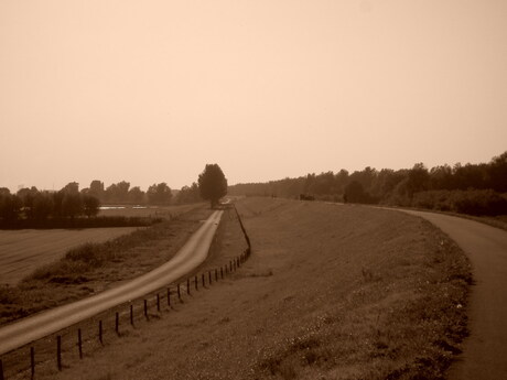 Buitendijk