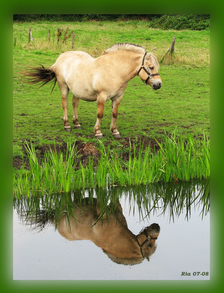 Spiegeltje, spiegeltje...