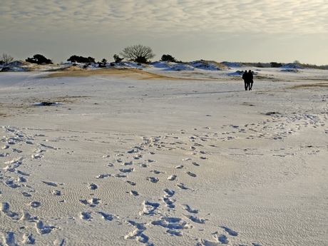 sporen in de sneeuw