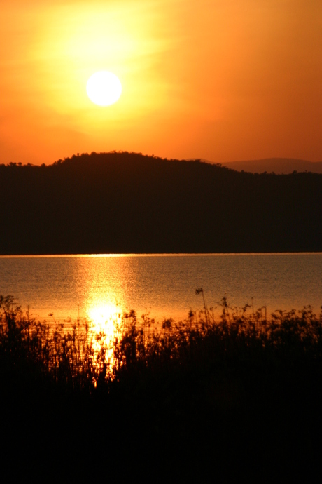 lake naivasha 2