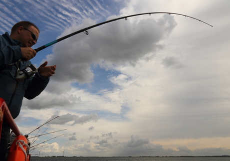 zonnige dag oosterschelde