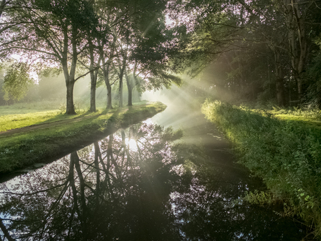 Morgenlicht en reflectie