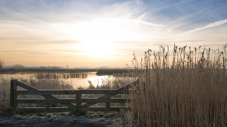 landschap