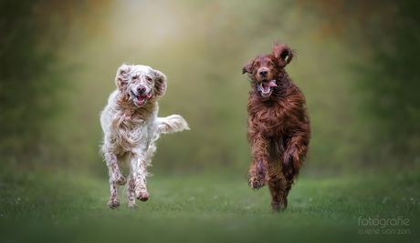 Happy dudes