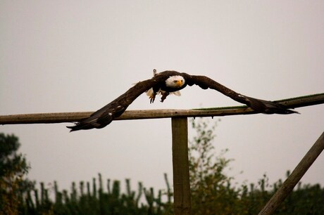 Ready for take-off!