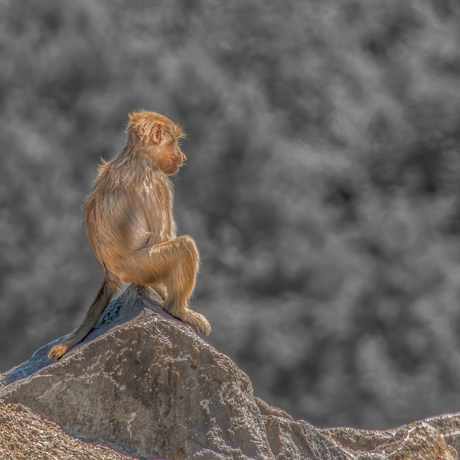 Sitting on the dock of ... life