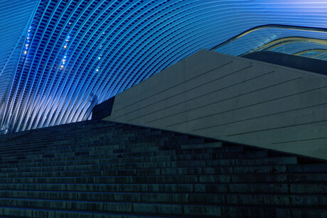 Guillemins, Liège