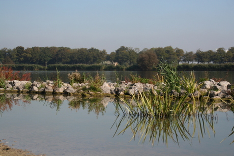 Binnenmaas groen