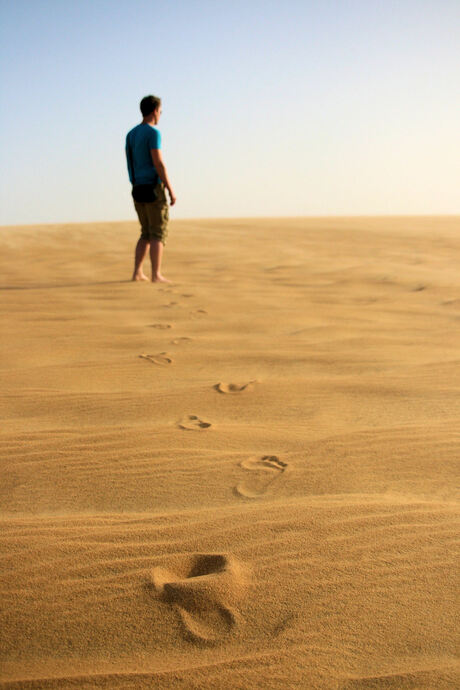 Through the desert