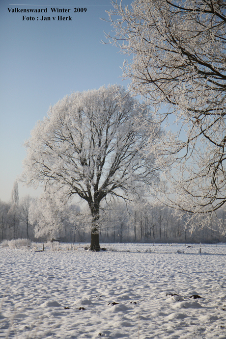 Heerlijke winter 2009