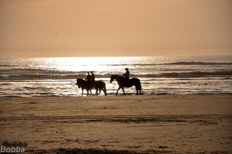 Wijk aan Zee