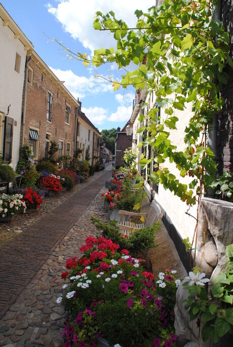 westwalstraat elburg