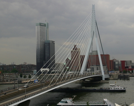Erasmusbrug Rotterdam