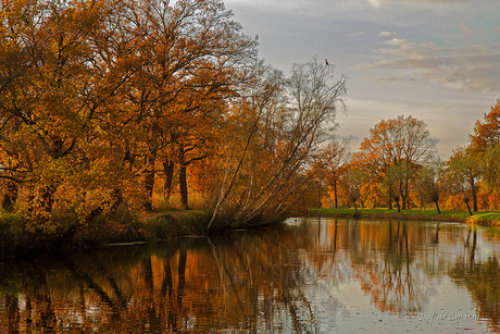 Zwolse kanaal bij Hancate