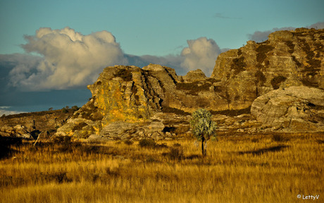 door Madagaskar