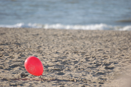 Day at the beach