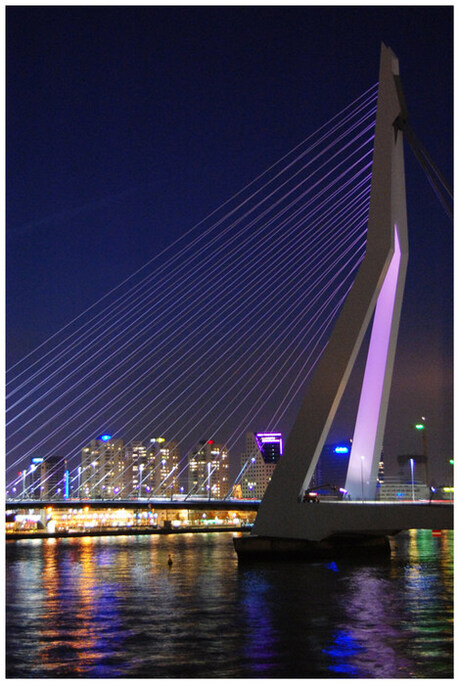 Erasmusbrug in close-up