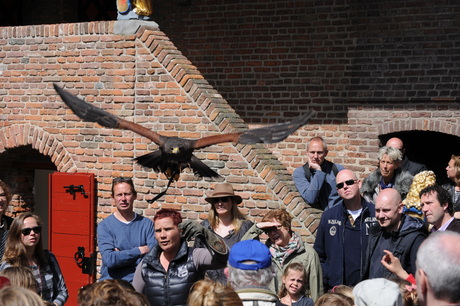 De roofvogelshow