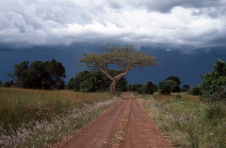 Masai Mara Thunderstorm coming