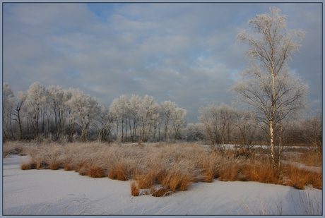 Winterwonderland