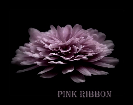 PINK RIBBON 2