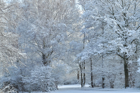 Winters sprookje