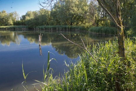 Zicht op de Lepelaarsplassen (II)