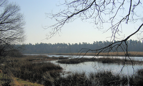 kootwijkerzand