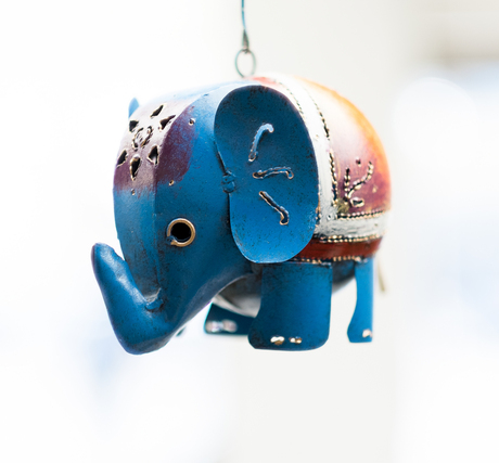 blue elephant