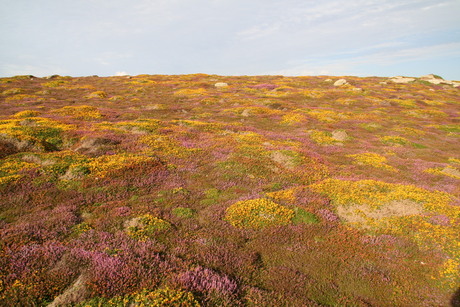 Land Ends Engeland 2