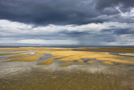 Abel Tasman