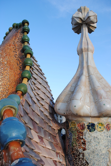 DRAKENRUG CASA BATTLÓ